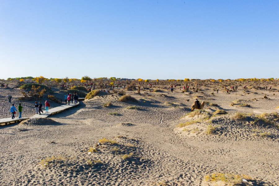 Κίνα: Η ξηρασία πλήττει τη μισή χώρα - Επιδοτήσεις στους αγρότες