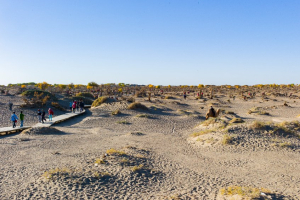 Κίνα: Η ξηρασία πλήττει τη μισή χώρα - Επιδοτήσεις στους αγρότες