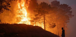 ΗΠΑ: Πυρκαγιά στην πολιτεία Ουάσιγκτον απειλεί σπίτια