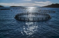 Στους 126.500 τόνους παραγωγής αξίας 865 εκατ. ευρώ η ελληνική ιχθυοκαλλιέργεια το 2025