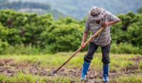 ΥΠΑΑΤ: Έκδοση ΚΥΑ για παράταση προσωρινής απασχόλησης εργατών γης