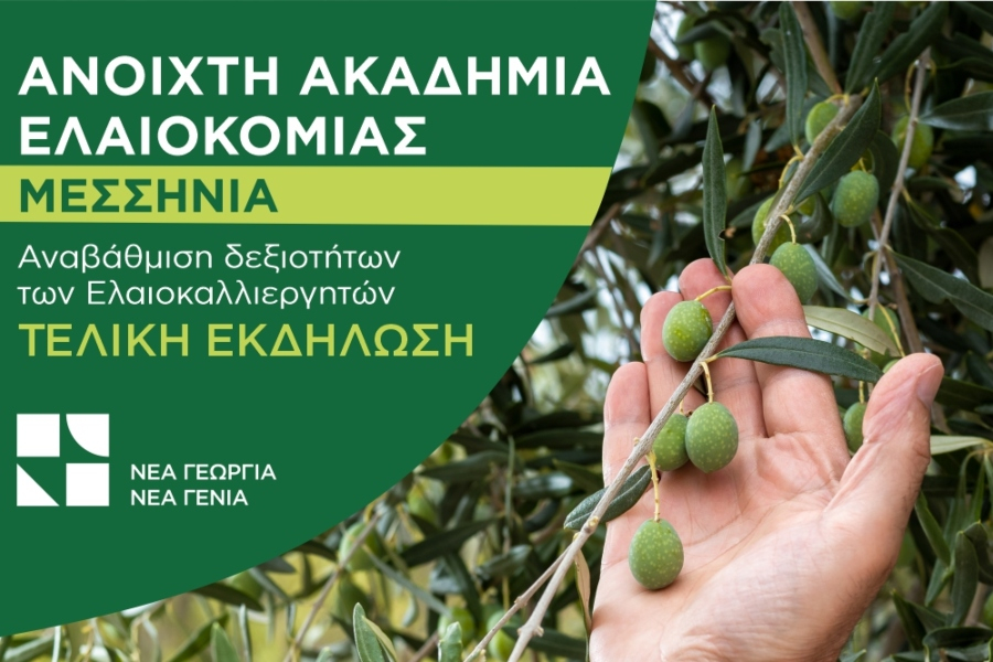 «Ανοιχτή Ακαδημία Ελαιοκομίας»: Τελική εκδήλωση στην Καλαμάτα με ομιλία για ελαιοκομικά θέμτα