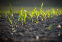 Ταμείο Ανάκαμψης: Πάνω από 1 δισ. οι επενδύσεις στον πρωτογενή τομέα