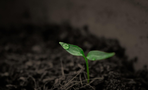 Σε δημόσια διαβούλευση το Εθνικό Κοινωνικό Κλιματικό Σχέδιο