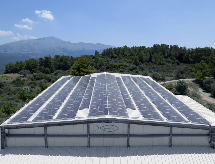Philosofish: Πρωτοπόρος στη χρήση ΑΠΕ σε όλη τη Μεσόγειο