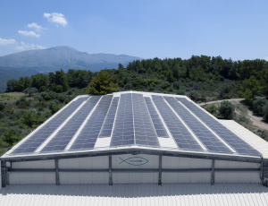 Philosofish: Πρωτοπόρος στη χρήση ΑΠΕ σε όλη τη Μεσόγειο
