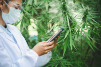 Green Lines Medical Production: Έγκριση εγκατάστασης παραγωγικής μονάδας φαρμακευτικής κάνναβης