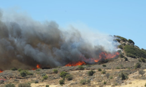 WINGS: Ελληνικό ΑΙ σύστημα ανίχνευσε πρώτο και έγκαιρα δασική πυρκαγιά