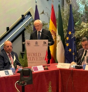 Ο Γιάννης Ανδριανός στις εργασίες του Διεθνούς Συμβουλίου Ελιάς στην Κόρδοβα