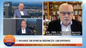 Παυλάκης: Θα έχουμε και τέταρτο κύμα - Δεν θα υπάρξει ανοσία αγέλης ούτε το χειμώνα (vid)