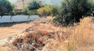 Νέα ψηφιακή πλατφόρμα για ακαθάριστα οικόπεδα: Πώς θα γίνεται ο έλεγχος, "τσουχτερά" τα πρόστιμα