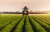 Ταμείο Εγγυήσεων Αγροτικής Ανάπτυξης: Δάνεια κίνησης έως 200.000 ευρώ