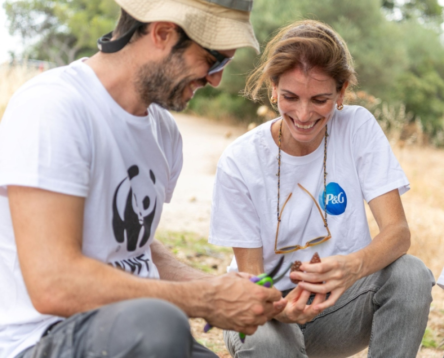 Συνεργασία Procter &amp; Gamble και WWF Ελλάς: 5 χρόνια δράσης για τα ελληνικά δάση