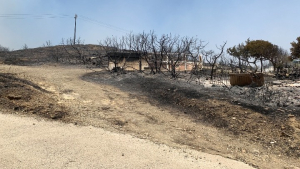 Επίσπευση και απλούστευη διαδικασιών για αποζημιώσεις από φυσικές καταστροφές