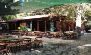 CDC: Τα παιδιά να κάνουν κατασκήνωση το καλοκαίρι, αλλά με μάσκες και αποστάσεις