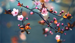 Σήμερα η εαρινή ισημερία στην Ελλάδα, αλλά όχι η ίση διάρκεια ημέρας και νύχτας