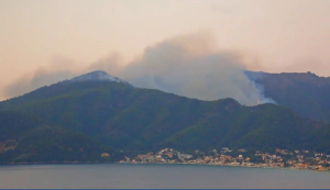 Καλύτερη η εικόνα της πυρκαγιάς στη Θάσο - Μηχανήματα του στρατού στην περιοχή