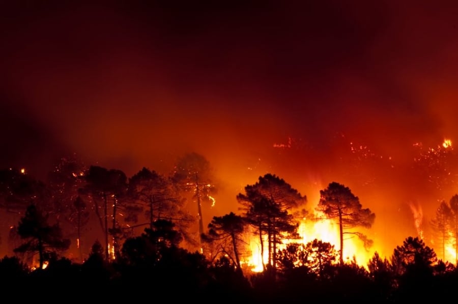 Ισπανία: Στις φλόγες χιλιάδες στρέμματα δάσους, εν μέσω καύσωνα