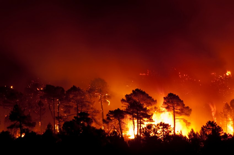 Ισπανία: Στις φλόγες χιλιάδες στρέμματα δάσους, εν μέσω καύσωνα