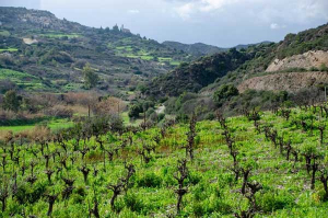 ΥΠΑΑΤ: Προχωρούν οι πρώτες αποφάσεις έγκρισης στο Υποέργο «Πράσινος Αγροτουρισμός»