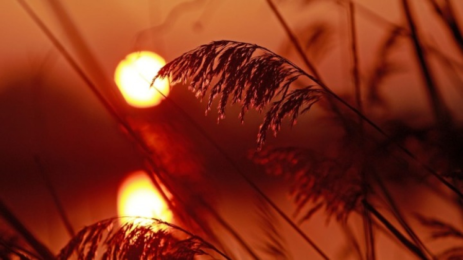 ΟΗΕ: "Μεγάλη πιθανότητα" το 2024 να είναι η πιο ζεστή χρονιά που έχει καταγραφεί ποτέ