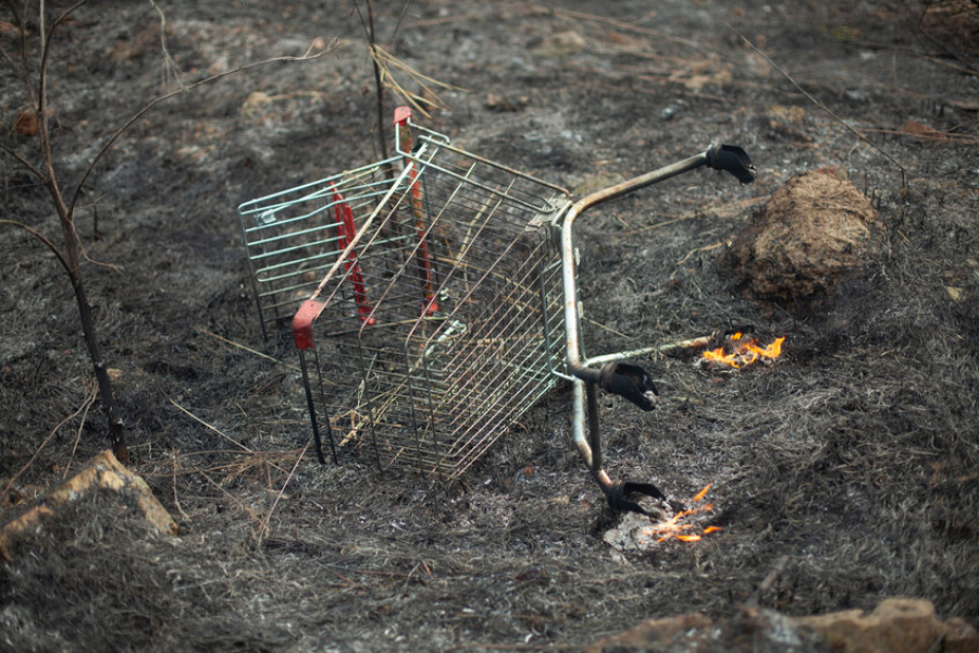 Allianz Trade: Υψηλός κίνδυνος κοινωνικών εντάσεων σε 11 χώρες εξαιτίας της διατροφικής κρίσης