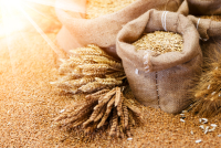 Ο ΟΗΕ χαιρετίζει θερμά την αναχώρηση του πρώτου πλοίου με ουκρανικά σιτηρά από την Οδησσό