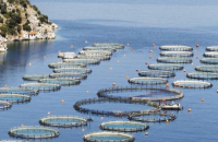 Πάνω από μισό δισ. για τη ενίσχυση των τομέων αλιείας και υδατοκαλλιέργειας