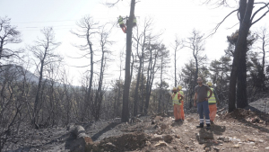 ΔΕΔΔΗΕ: Συνεχίζονται οι προσπάθειες αποκατάστασης των βλαβών