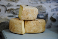 Ολλανδία: H 10η σημαντικότερη χώρα για τις ελληνικές εξαγωγές τυριών