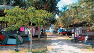 ΕΤΑΔ: Προκήρυξη νέου διαγωνισμού εκμίσθωσης του Camping Κουρούτας