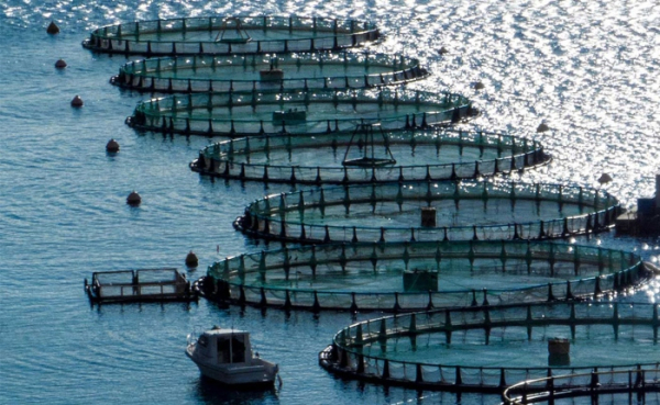 Avramar: Tι αναφέρει επίσημα η AquaBridge