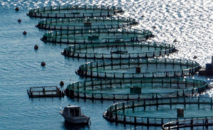 Avramar: Tι αναφέρει επίσημα η AquaBridge