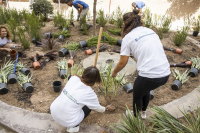 P&amp;G και ΑΒ Βασιλόπουλος ενώνουν της δυνάμεις τους για τη δημιουργία του 6ου πάρκου τσέπης στα Πετράλωνα