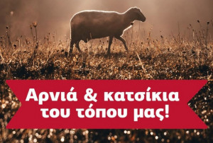 Χαλκιαδάκης: Των φρονίμων τα παιδιά, πριν ψωνίσουν… παραγγέλνουν