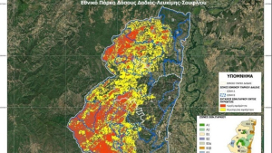 Αποτίμηση της πυρκαγιάς στη Δαδιά: Κάηκε το 58% του Εθνικού Πάρκου