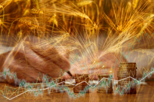 Τουρκία, Ρωσία, Ουκρανία και ΟΗΕ συζητούν τις εξαγωγές σιτηρών