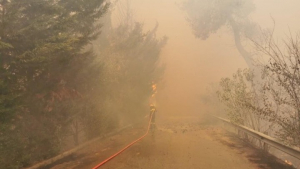 Φωτιά στη Σταμάτα: Ενισχύονται οι πυροσβεστικές δυνάμεις - Ενεργοποιήθηκε ο μηχανισμός 112