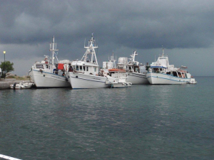 Πτώση 11,7% στον αριθμό των μηχανοκίνητων αλιευτικών σκαφών το 2021