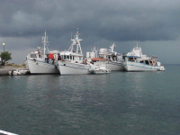 Πτώση 11,7% στον αριθμό των μηχανοκίνητων αλιευτικών σκαφών το 2021