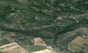 ΣτΕ: Συνταγματικοί οι αναθεωρημένοι δασικοί χάρτες