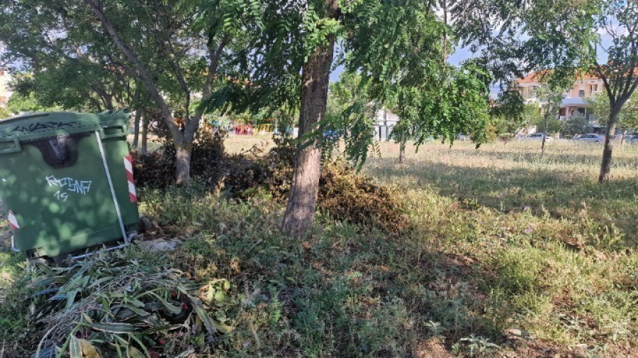 Ακαθάριστα οικόπεδα: Τι πρέπει να προσέξουν οι πολίτες - Η προθεσμία για το 2026 λήγει στις 15 Ιουνίου