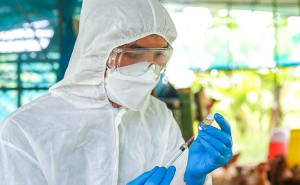 Οι ΗΠA κατέγραψαν την πρώτη έξαρση της φονικής γρίπης των πτηνών H7N9