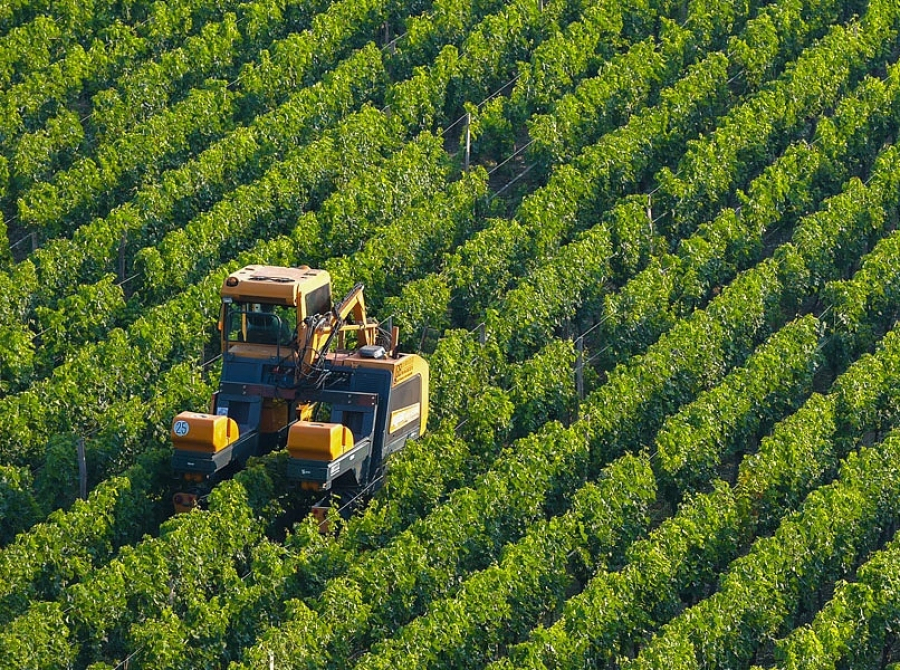 Νέα ΚΑΠ 2028–2034: Στην Πάτρα ο διάλογος για τον ρόλο των Περιφερειών