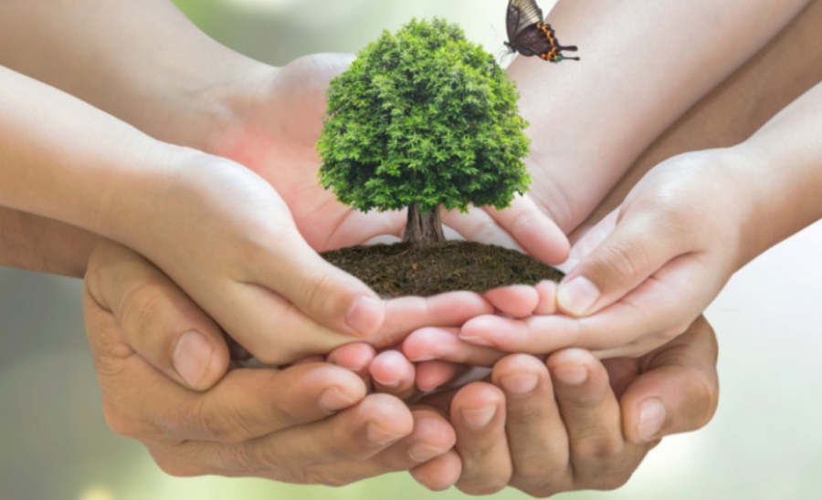 Γιουρέλης: Το υπερταμείο έχει βάλει σαν βασικό του στόχο τη μείωση του αποτυπώματος του άνθρακα