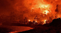 Φωτιά στον Σχίνο: Εντολή για εκκένωση στο Αλεποχώρι