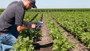 Στις 27/6 ξεκινά η υλοποίηση του 2ου Εισαγωγικού Προγράμματος Επιμόρφωσης των Γεωργικών Συμβούλων