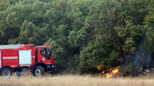 Φωτιά στην Αλεξανδρούπολη: Στον οικισμό Λουτρός η μεγαλύτερη μάχη - Καλύτερη η εικόνα στα άλλα μέτωπα