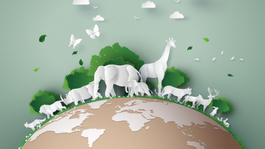 Είδη υπό εξαφάνιση: 17.000 είδη ζώων και φυτών στον νέο Κόκκινο Κατάλογο