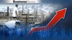ΕΛΣΤΑΤ: Αυξημένες κατά 6,9% οι τιμές των οικοδομικών υλικών τον Αύγουστο